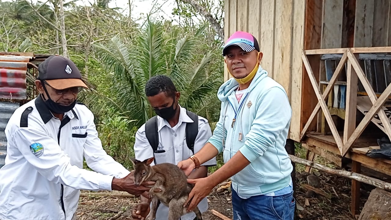 Penyerahan dan Pelepaslairan Pelandu Aru/Kanguru Tanah