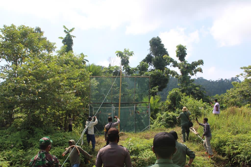 Bukit Tanah Putih Menjadi Lokasi Pelepasliaran 27 Ekor Satwa Liar